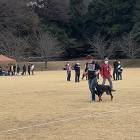 クィスタの画像