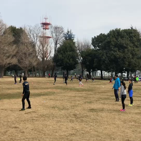 混合リレー バトン練習⑧の画像