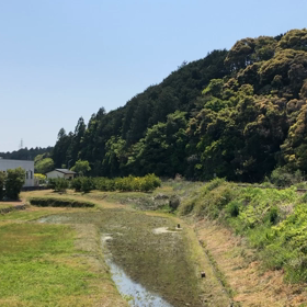 天竜浜名湖キハ20カラー！の画像