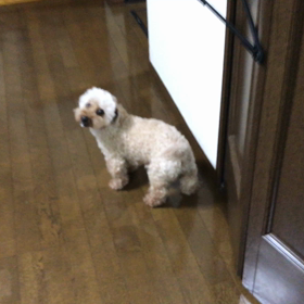 休日終了の画像