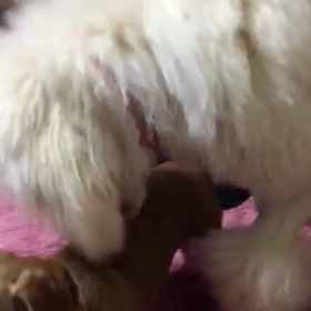 平九朗目覚める(笑)の画像