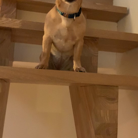 階段の怖さ　の画像