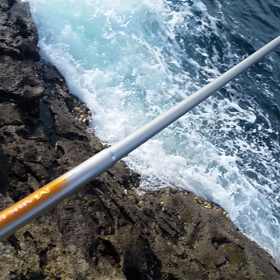昨日の釣果の画像