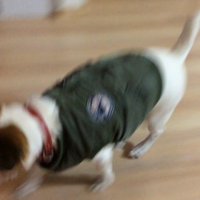 やっぱりね〜〜  (о´∀`о)の画像