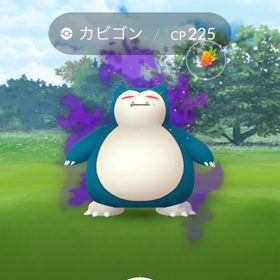 シャドーポケモンのカビゴンゲットしたよ〜の画像