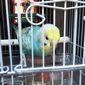 経過診察①の画像