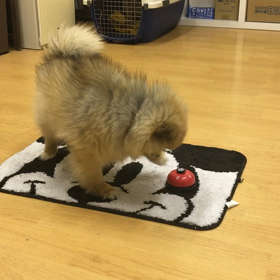 ココファンの皆様、お待たせしました。の画像