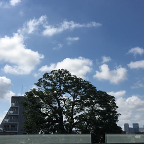 八月です！夏休みです！の画像
