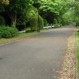 リレー選考会(女子)ゴール付近③の画像