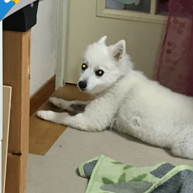 なんとなくの画像