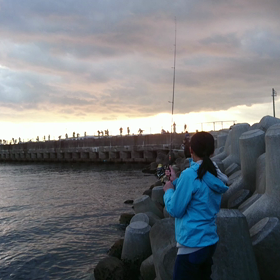 秒でイワシの画像