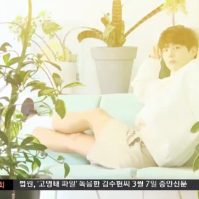 ボゴミー紹介VTRの画像