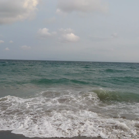 グリーンの海の画像