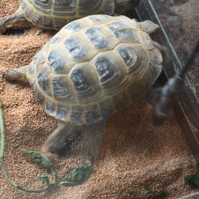 開いてます！の画像