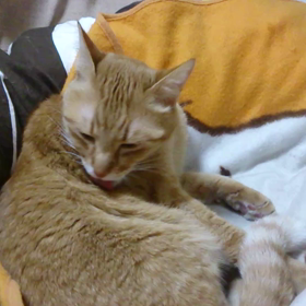 夜の指定席☆の画像