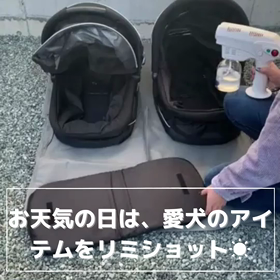 気持ちよく晴れた日は☺️☀️の画像