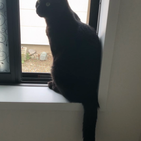 少し元気になりました！(((o(*ﾟ▽ﾟ*)o)))♡の画像