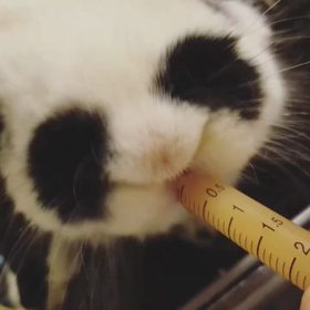 お家の食事を健康食に。の画像