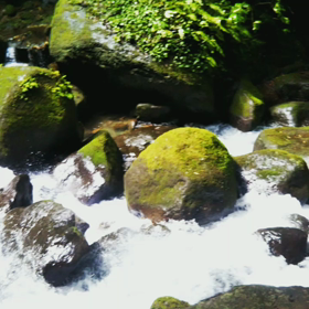 白糸の滝の画像