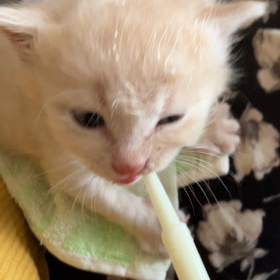 前記事の続きです。の画像