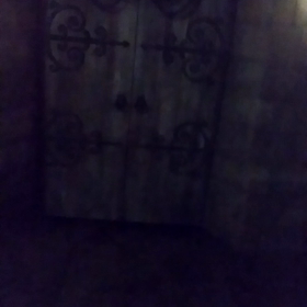 ２．アロホモーラ(USJ)の画像