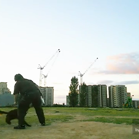 2017年のホークの画像