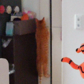 おネコ様はヤンチャ娘の画像