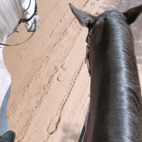 いい天気✨の画像