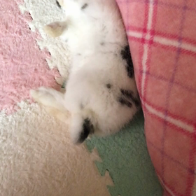 癖が･･･の画像