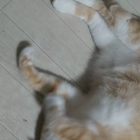 今朝は見送り付き(*^^*)の画像