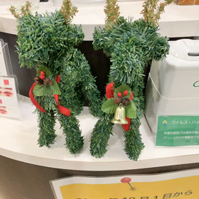 マウスピース矯正の画像