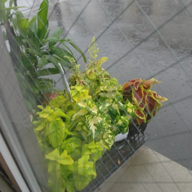 もう10月の画像