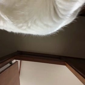 ある日の  らたさんの画像