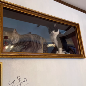 どうか来てほしいの画像