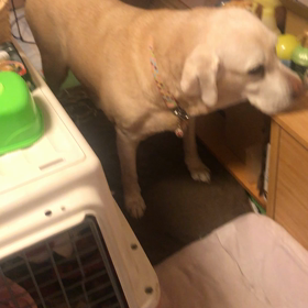 我慢できなかったの…つい出来心…byよもぎ の画像