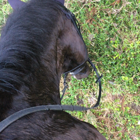 メロメロ♪の画像