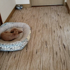 今日のももハマです2の画像