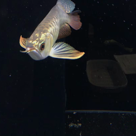 2021年に。の画像