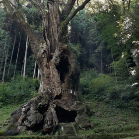 武雄神社の画像