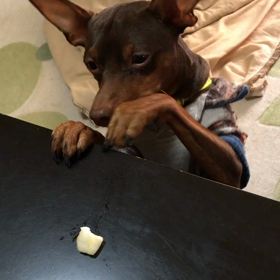 オレはサウスポーの画像