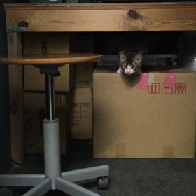 マサカズ見ーつけた！の画像