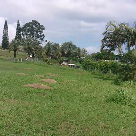 ♡大自然♡の画像