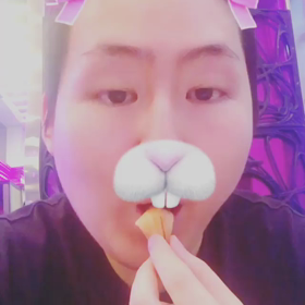 フンちゃん、ウサギになるの画像