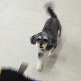 ♪プレイルーム動画♪①の画像