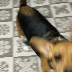 久しぶりにお披露目の画像