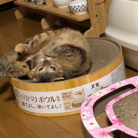 まったりの画像