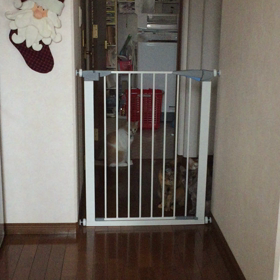 華麗なジャンプ✨の画像