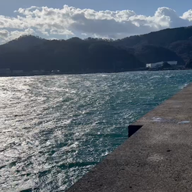 東北支部@高木会員のお便りの画像