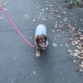 お散歩♡の画像