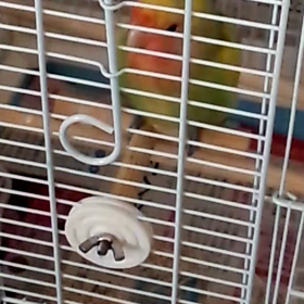 大事だよね(^^;)の画像